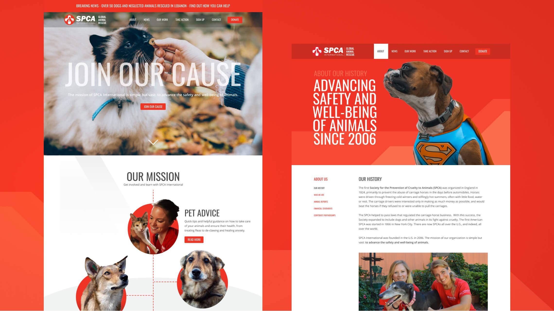 Desktop design for the SPCAI homepage and general inner page