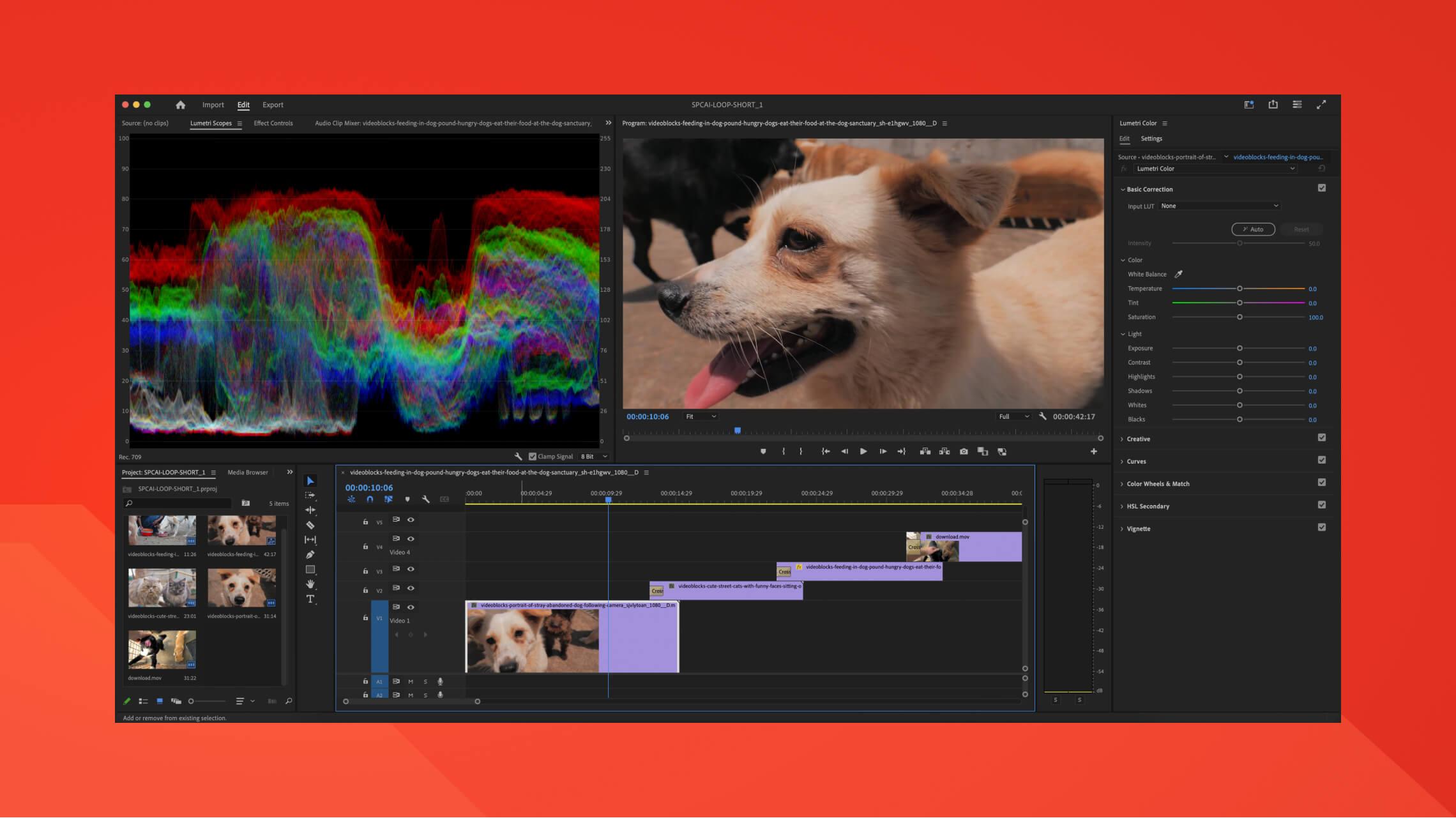 Video editor screenshot showing the process for editing the homepage video loop